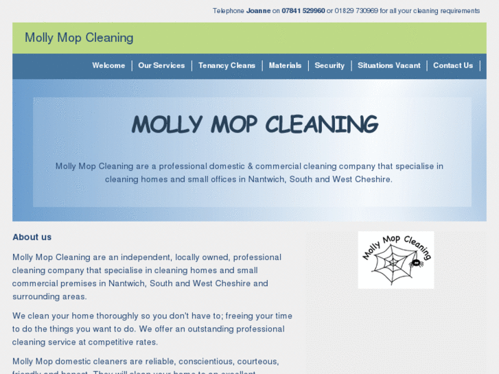 www.mollymopcleaning.com