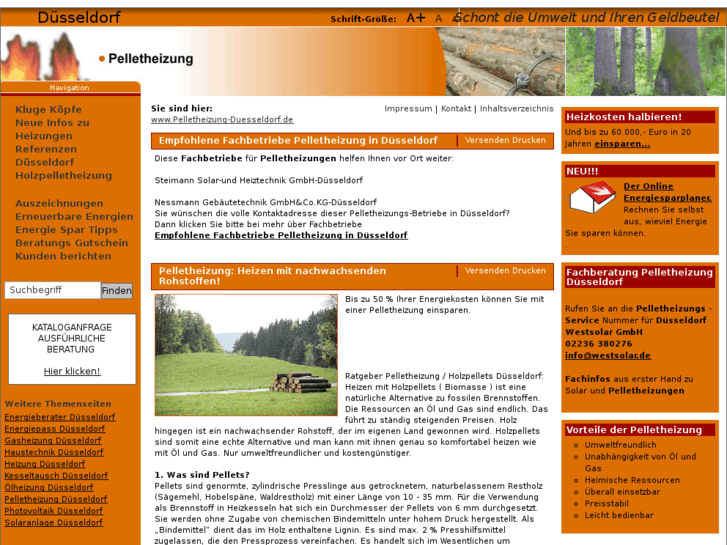 www.pelletheizung-duesseldorf.de