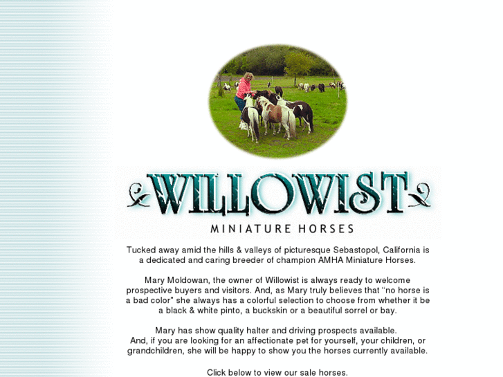 www.willowistminiaturehorses.com