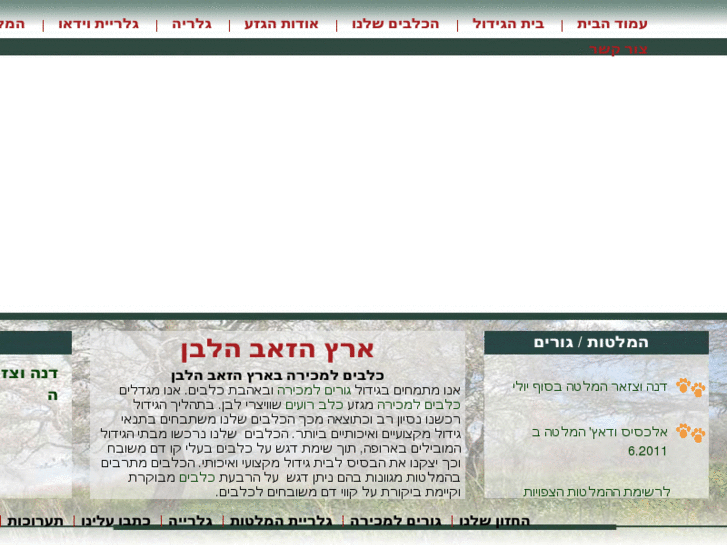 www.bbi-israel.co.il