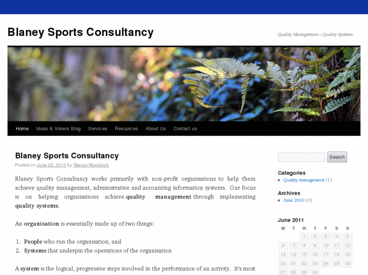 www.blaneysportsconsultancy.com