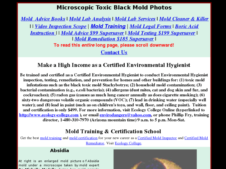 www.picturesoftoxicblackmold.com