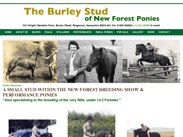 www.burleystud.com