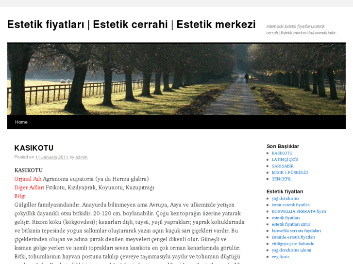 www.estetikfiyatlari.net