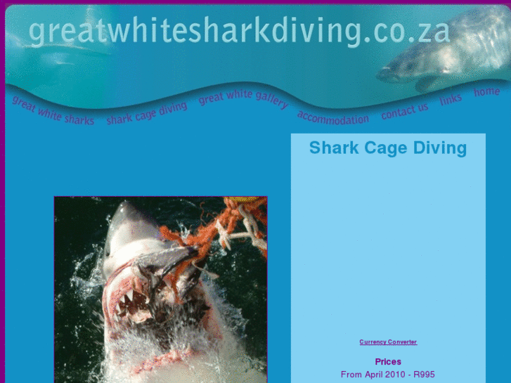 www.greatwhitesharkdiving.co.za