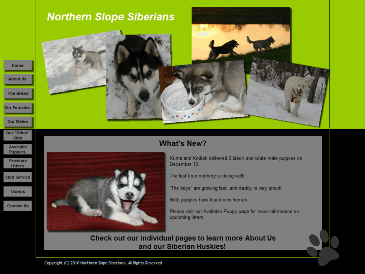 www.northernslopesiberians.com