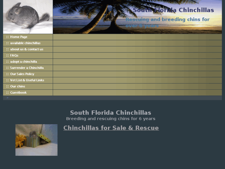 www.southfloridachinchillas.com