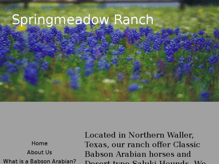 www.springmeadowranch.com