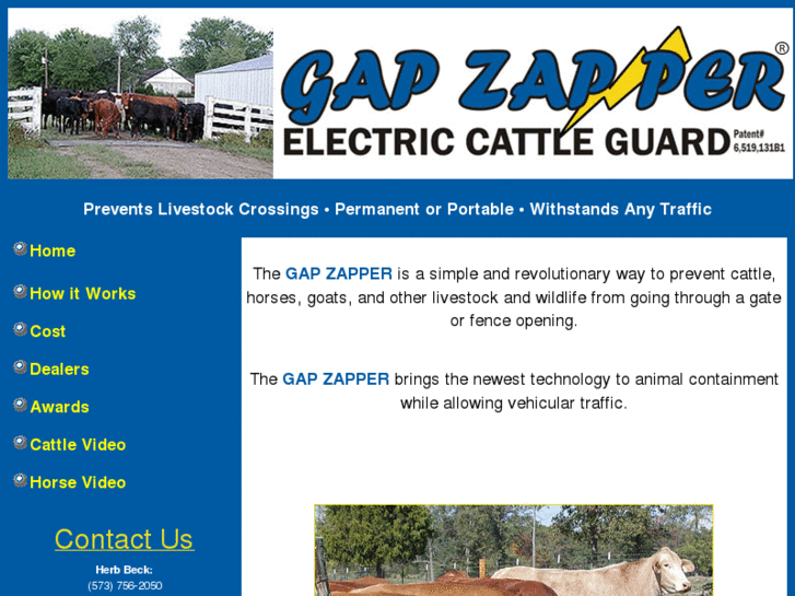 www.thegapzapper.com