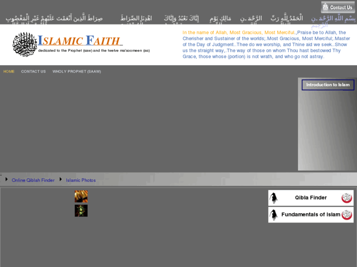 www.ezzeddines.com