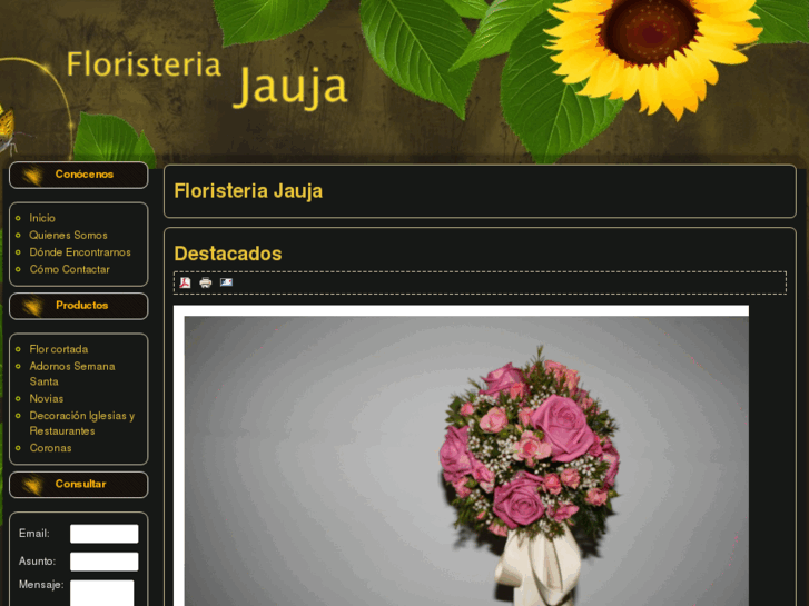 www.floristeriajauja.es