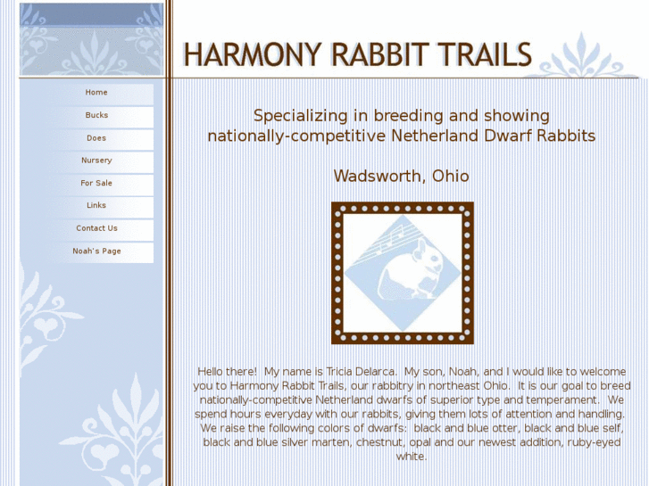 www.harmonyrabbittrails.com