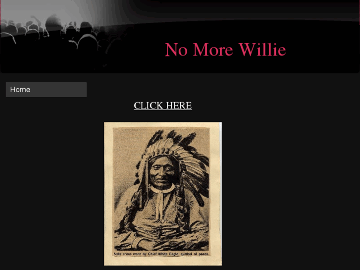 www.nomorewillie.com