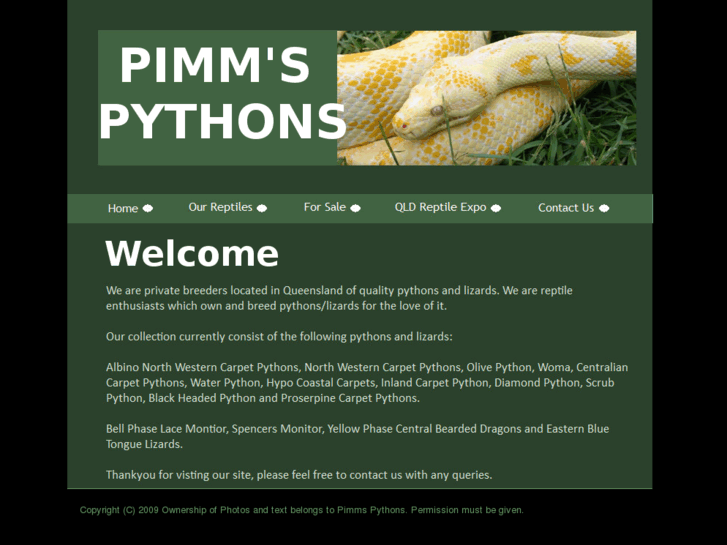 www.pimmspythons.com