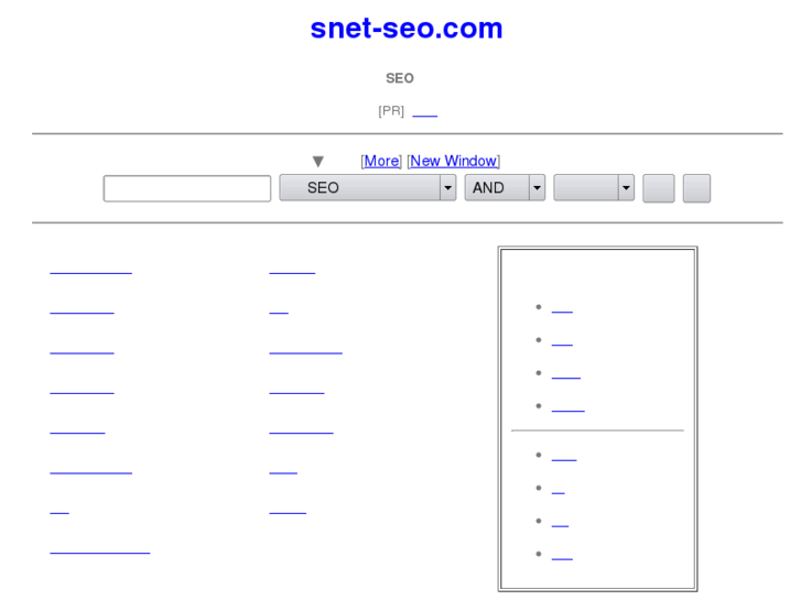 www.snet-seo.com