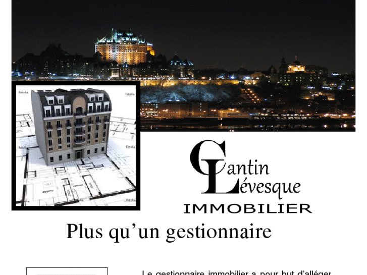 www.cantinlevesqueimmobilier.com