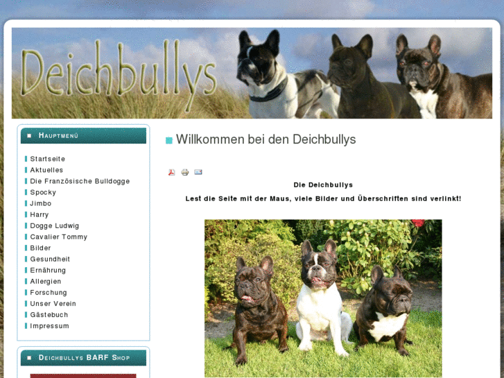 www.deichbullys.de