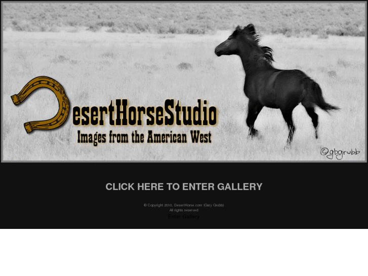 www.deserthorse.com