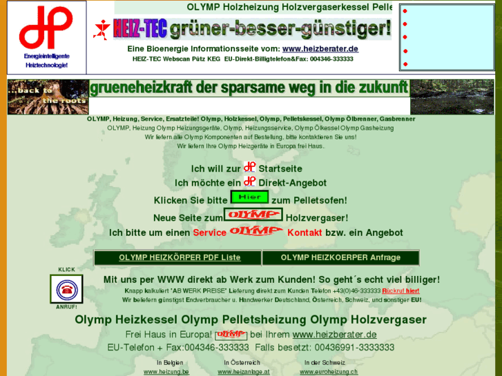 www.grueneheizkraft.de