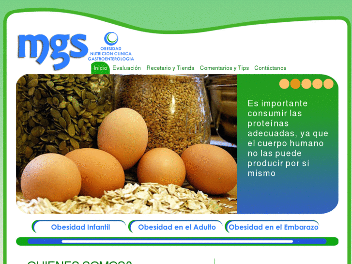 www.mgsnutricion.com