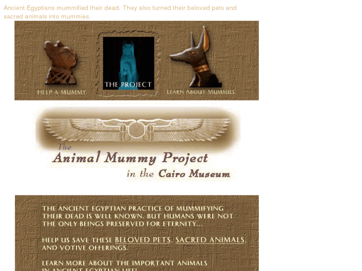 www.animalmummies.com