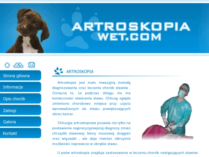 www.artroskopia-wet.com