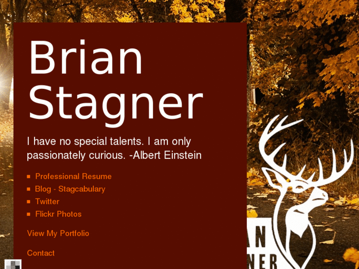 www.brianstagner.com