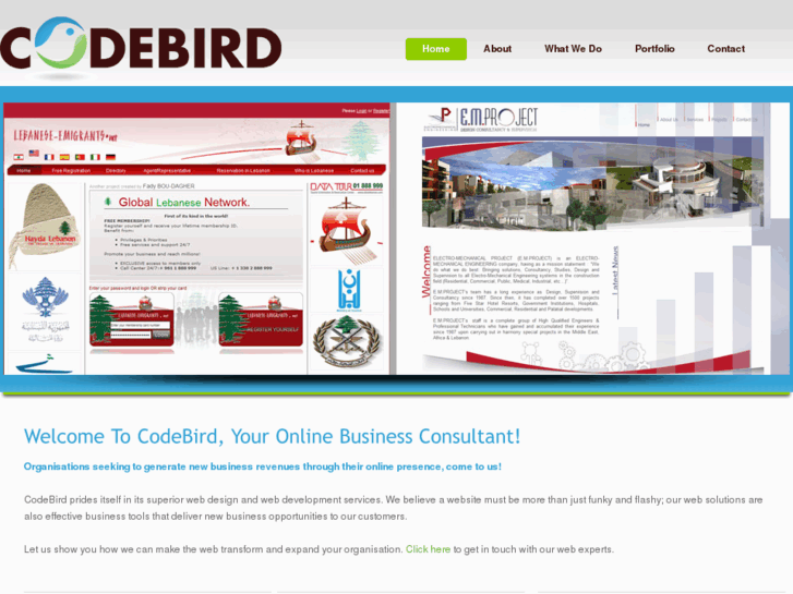 www.codebird.info