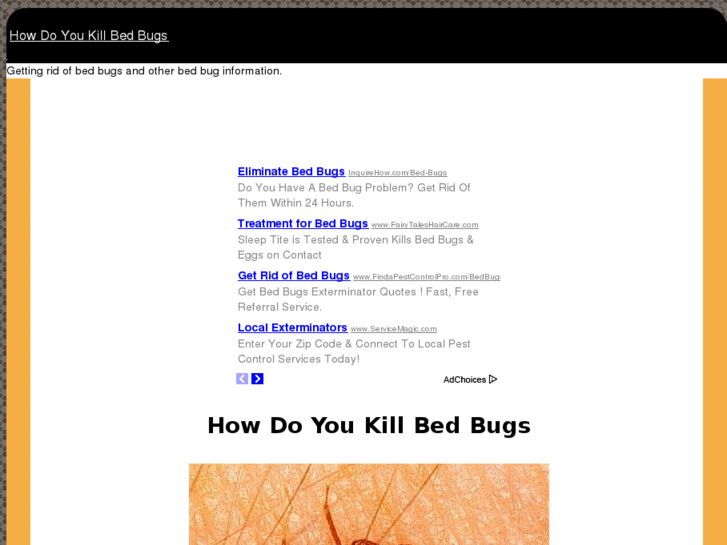 www.howdoyoukillbedbugs.com