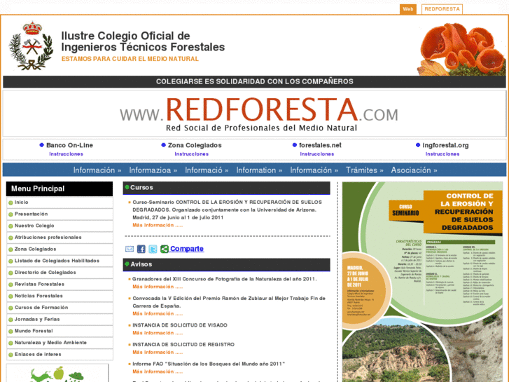 www.ingforestal.net