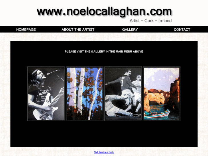 www.noelocallaghan.com