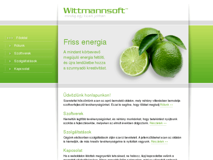 www.wittmannsoft.hu