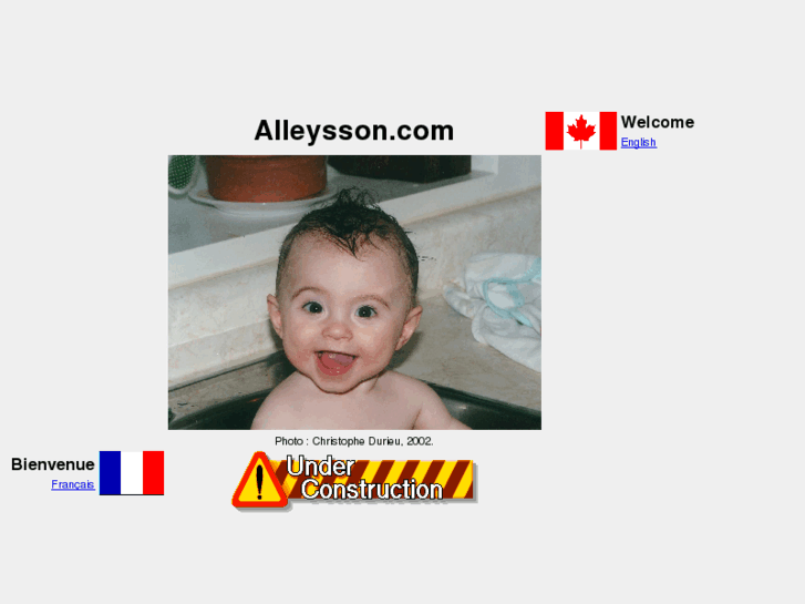 www.alleysson.com