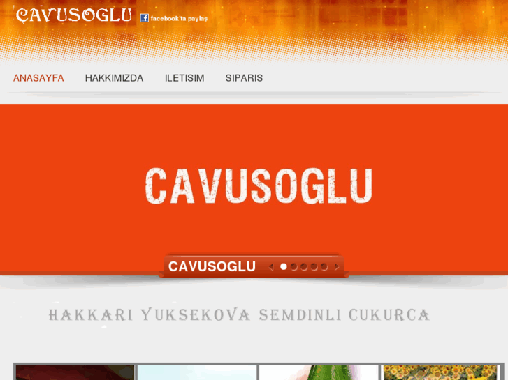 www.cavusogluticaret.net