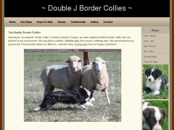 www.doublejbordercollies.com