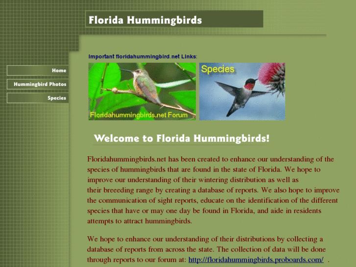 www.floridahummingbirds.net