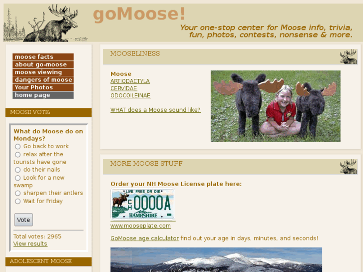 www.gomoose.com