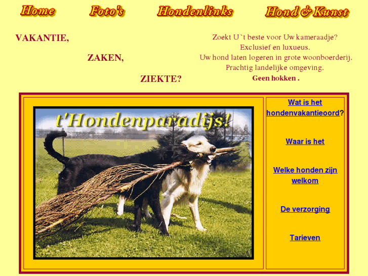 www.hondenparadijs.nl