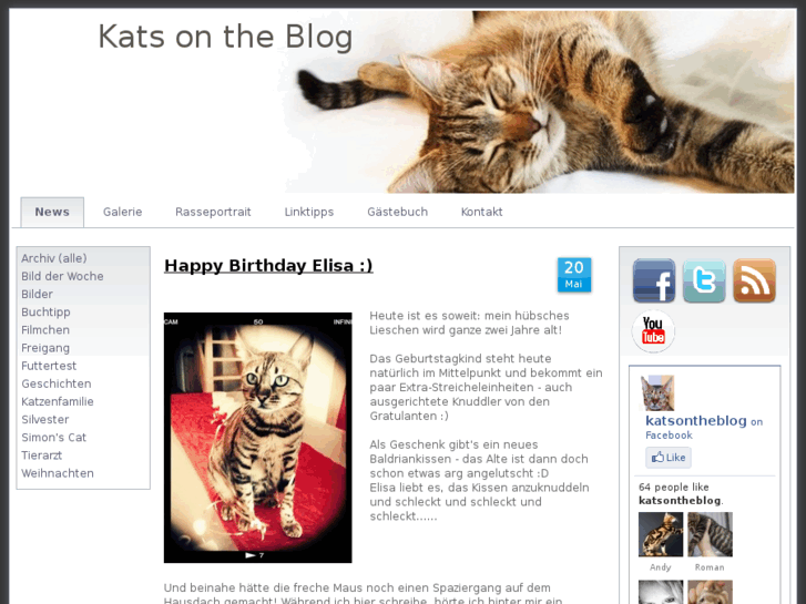 www.katsontheblog.com