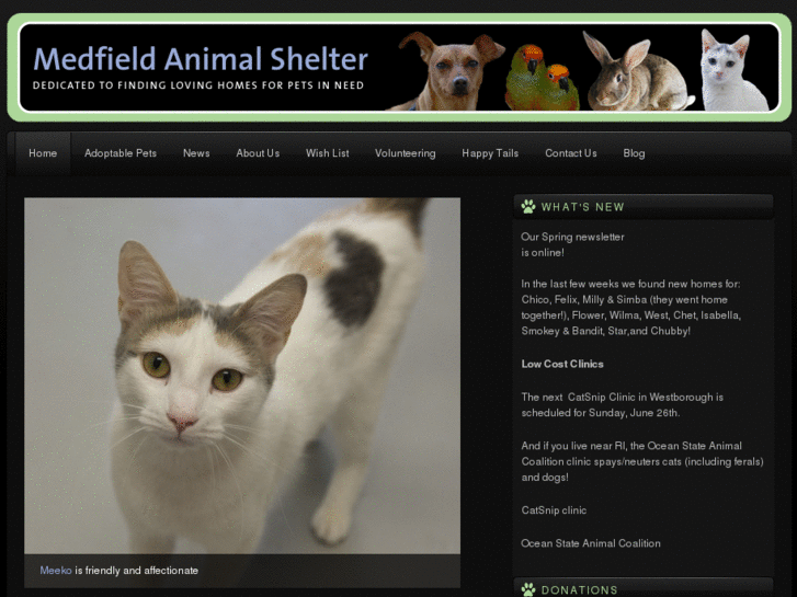 www.medfieldshelter.com