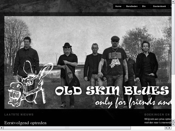 www.oldskinbluesband.com