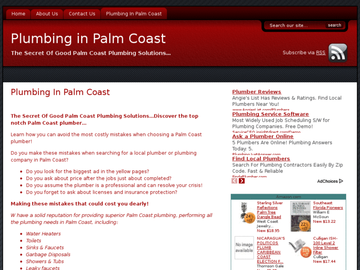 www.plumbingpalmcoast.com