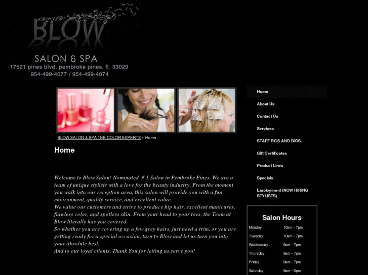 www.blowsalonfl.com