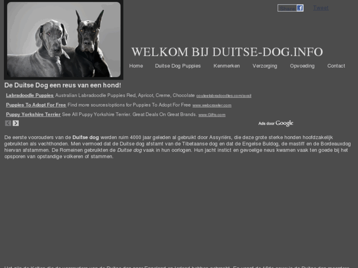 www.duitse-dog.info