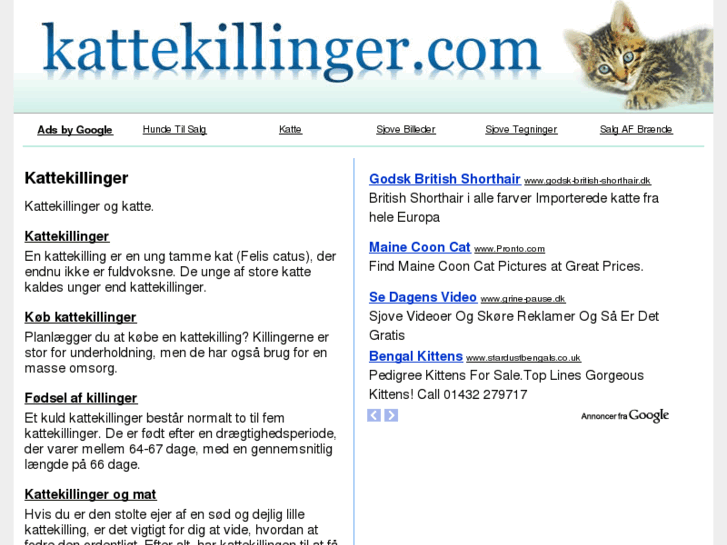 www.kattekillinger.com