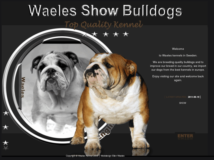 www.waelesbulldogs.com