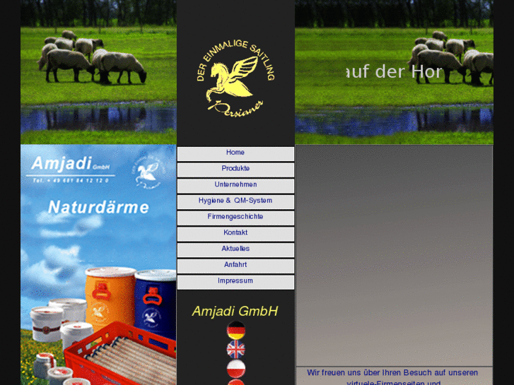 www.amjadi.com