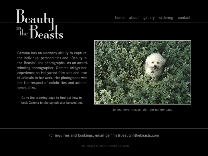 www.beautyinthebeasts.com