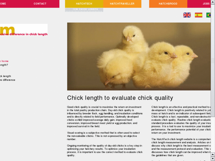 www.chicklength.com