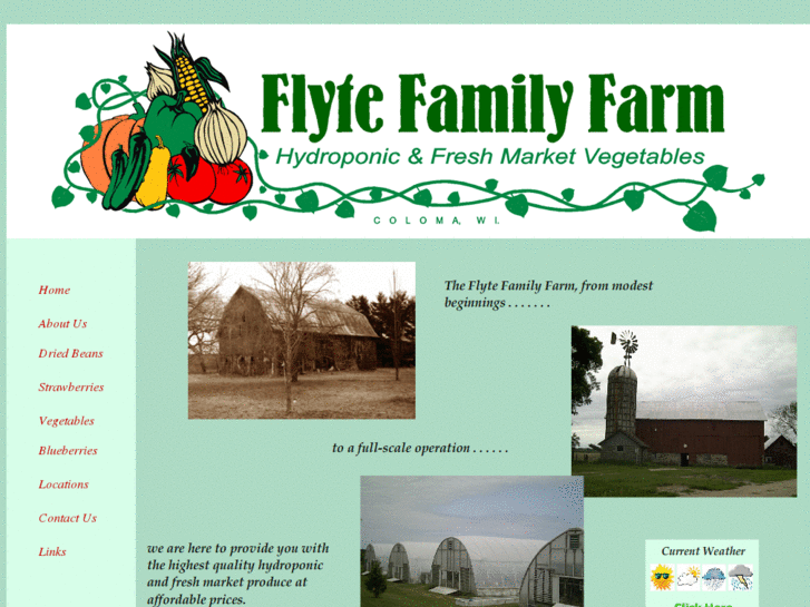 www.flytefamilyfarm.com